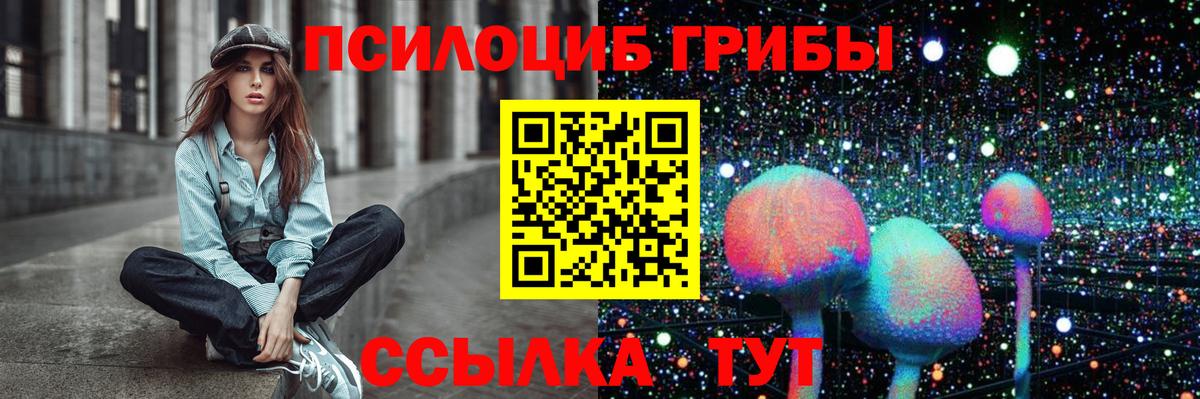Гудермес  цены   Вход с VPN  Псилоцибиновые грибы GOLDEN TEACHER 