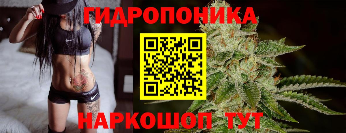 Бошки марихуана Ganja Гудермес